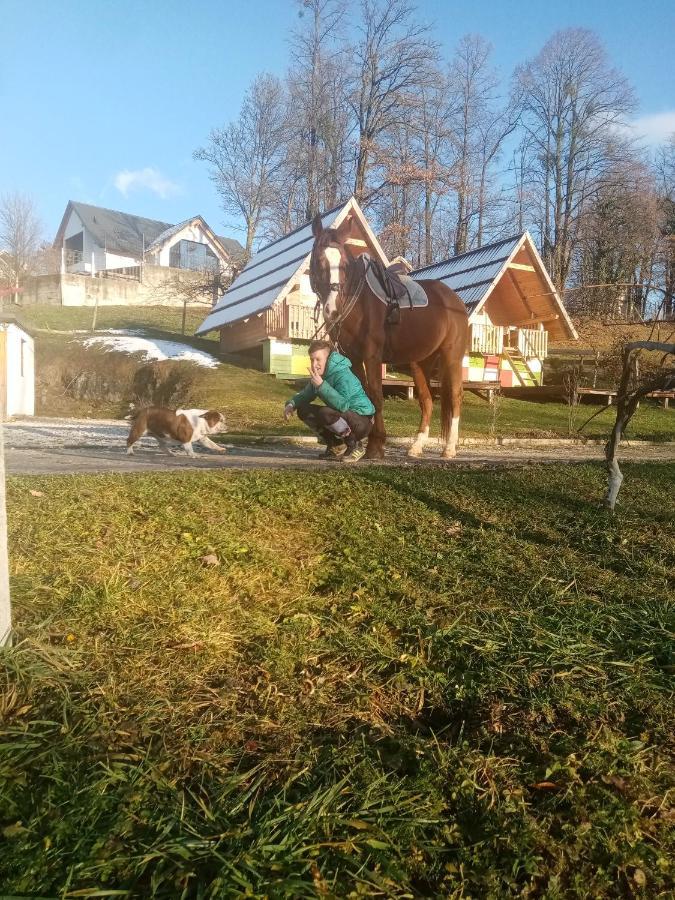 Apartma Pr' Vok Lesce  Luaran gambar